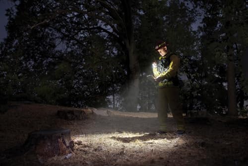 MagLite Mini MAG 2 AA LED Flashlight – 127 Lumens Compact Flashlight with Adjustable Beam, High/Low Modes, IPX4 Water-Resistant, Shock-Resistant Design, Alkaline Batteries Included (Combo Pack, Blue) - color: Blue