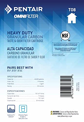 Pentair OMNIFilter TO8 Carbon Water Filter, 10" Heavy Duty Big Blue Whole House Granular Carbon Taste & Odor Replacement Filter Cartridge, 10" x 4.5", 25 Micron |(Pack of 2) - size: 1 Count (Pack of 2), style: 10 Inch x 4.5 Inch