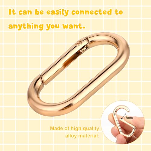 2 Pcs Gold Carabiner Key Clips,Heavy Duty Spring O Ring Keyring Clips for Purse Strap,Keychains & Backpacks,Buckle Clasp,Backpacks,Purse,Keys,Bag Strap Rustproof Key Hook Accessories (Gold)