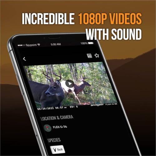 SPYPOINT Flex G-36 Cellular Trail Camera, 36MP Photos and 1080p Videos w/Sound, GPS Enabled, Dual-Sim LTE Connectivity, 100' Flash & Detection Range - size: Pack of 1, style: FLEX-G36