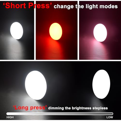 10000mAh Rechargeable Camping Light Insect Not Attract 4000LM Work Light White/Red/Pink/SOS Brightness Stepless Dimming, IP45 Waterproof Tent Light Power Failure for Halloween (Remote) - color: Remote