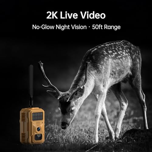 2 Pack 2K Cellular Trail Cameras, 4G LTE Solar Wildlife Cameras No WiFi Needed, 0.2s Trigger, No-Glow Night Vision, Pre-Installed IoT SIM & 32GB SD Cards for Farm and Remote Property