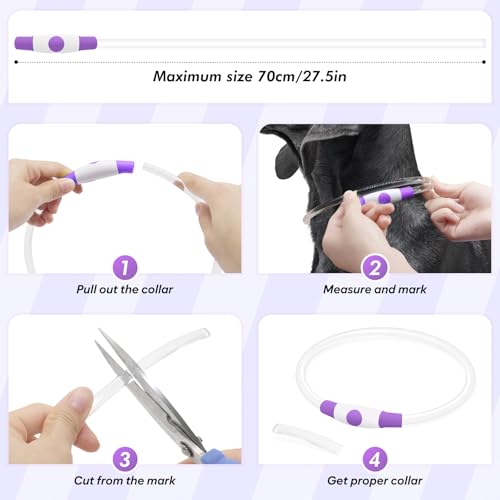 BSEEN Light Up Dog Collar, Rechargeable LED Dog Collar Light Glowing Puppy Collar for Night Walking, TPU Cuttable Lighted Pet Collar for Small Medium Large Dogs (Purple (70cm)) - color: Purple (70cm)