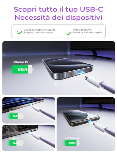 LISEN USB C Cable, 5-Pack [3.3/3.3/6.6/6.6/10FT] USBC to USBC Cable for iPhone 16e 15 Pro Max Charger Cord, 60W (3.1A) C to C Cable Fast Charging for Samsung S25/S24/23, Switch 2, iPad, MacBook,Purple - color: Purple, size: 3.3+3.3+6.6+6.6+10FT