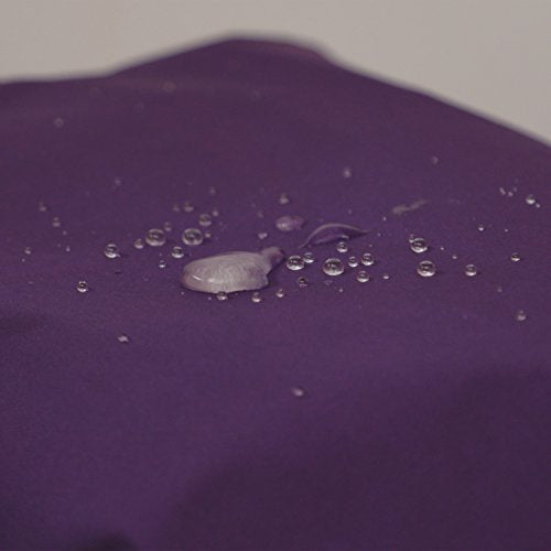 GEAR AID Revivex Durable Water Repellent (DWR) Spray for Waterproof Jackets, Rain Gear, Gore-TEX, Tents & Camping Gear – Restore Waterproofing & Breathability, Various Sizes - style: Dwr Spray, 10 Oz