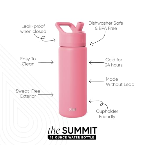 Simple Modern Insulated Water Bottle with Straw | 18oz | Pink - color: -Velvet Pink, style: 18oz