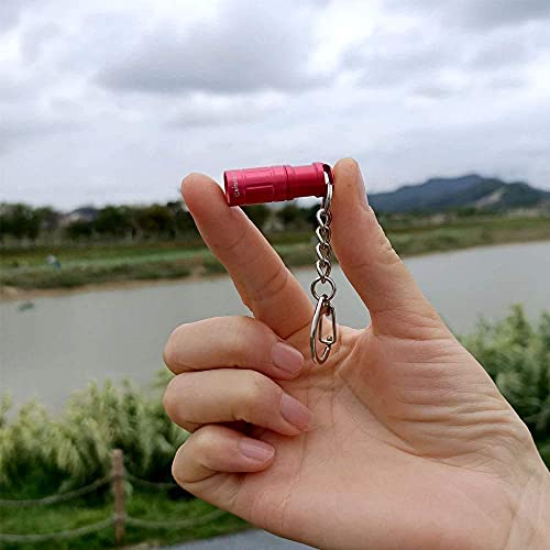 e1 Smallest Keychain Flashlight Micro Tiny Mini Keychain Light Long-Lasting Safety Light for Everyday Carry Emergencies Outdoor Dog Walking Hiking Camping Nice Gift for Parents Kids - color: black red 2PCS