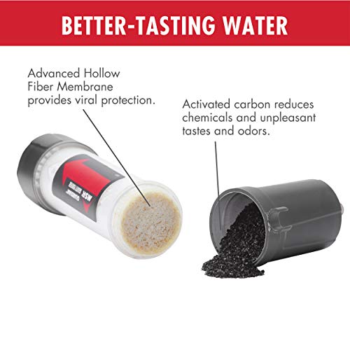 MSR Guardian Gravity Water Purifer for Backcountry Use, Global Travel, and Emergency Preparedness - style: Original Storage Bag