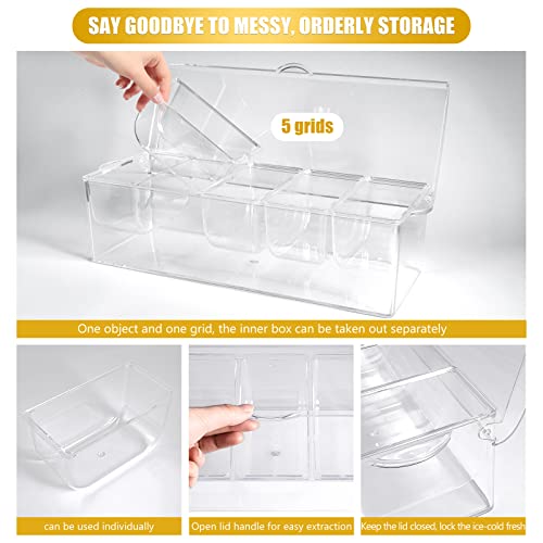 Condiment Tray with Stainless Steel Tableware, Chilled Condiment Server | Bar Accessories with 5 Spoons, 5 Forks and 1 Clip with Removable Trays and Lid