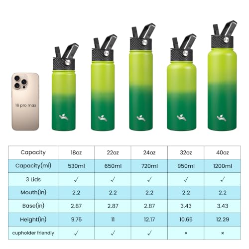Konokyo 18 oz Insulated Stainless Steel Water Bottle with Straw Lid - color: Bamboo Grove, size: 18 Ounces