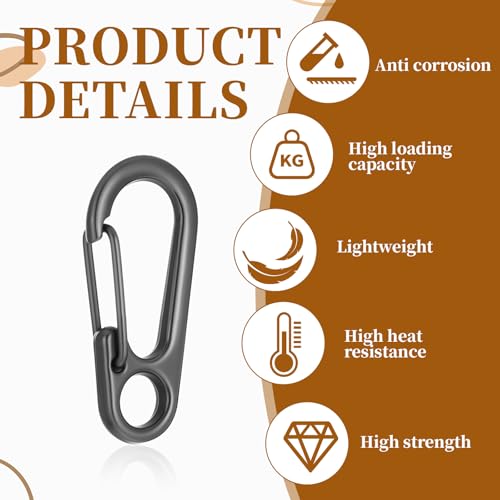 30 PCS Mini Carabiner Clip, Metal Spring Snap Hook Keychains Small Carabiner Clip for Keys, Micro Carabiners with a Transparent Storage Box Key Carabiners Clips Sport Accessories for Outdoor Camping
