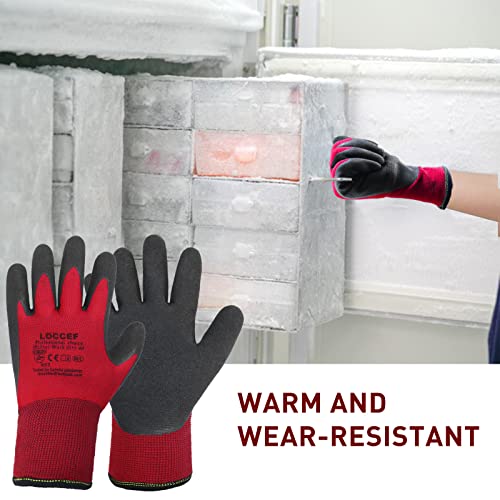 2 Pairs Winter Work Gloves Men Women, Thermal Freezer Gloves - size: Large (Pack of 2)