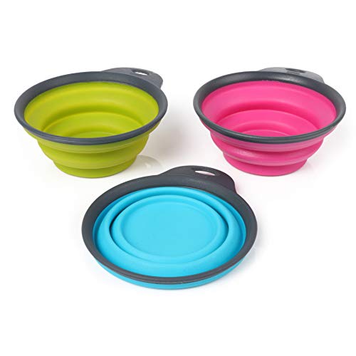 Dexas Popware for Pets Collapsible Travel Cup, Large, Gray/Blue - color: Gray/Blue, size: Large/2 Cup