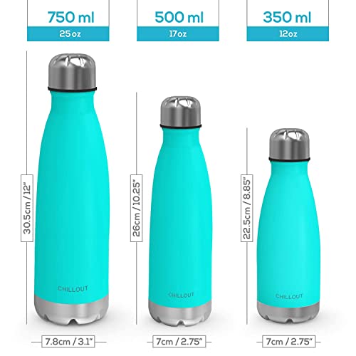 CHILLOUT LIFE 25oz Insulated Stainless Steel Water Bottle, Leak Proof - color: Stainless Steel