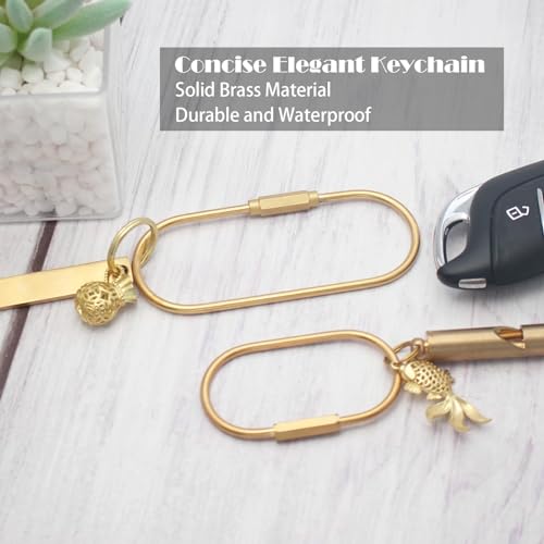 Carabiner Keychain Clip with Lock, Gold Key Chain Rings, Purse Bag Charms - size: 1.5"*3.5"/2Pcs