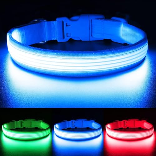 YFbrite Light up Dog Collar, USB Rechargeable LED Puppy Collar Super Bright Adjustable Glowing Dog Lights for Night Walking (Design-2- Blue, Small) - color: Version 2.0-- Blue, size: Small