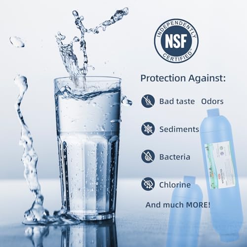 2PK NSF Certified Inline RV Drinking Water Filter & Flexible Hose Protector - size: 2 Count (Pack of 1)