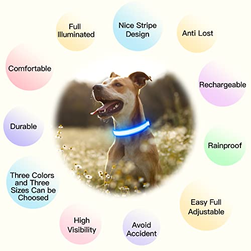 YFbrite Light up Dog Collar, USB Rechargeable LED Puppy Collar Super Bright Adjustable Glowing Dog Lights for Night Walking (Design-2- Blue, Large) - color: Version 2.0-- Blue, size: Large