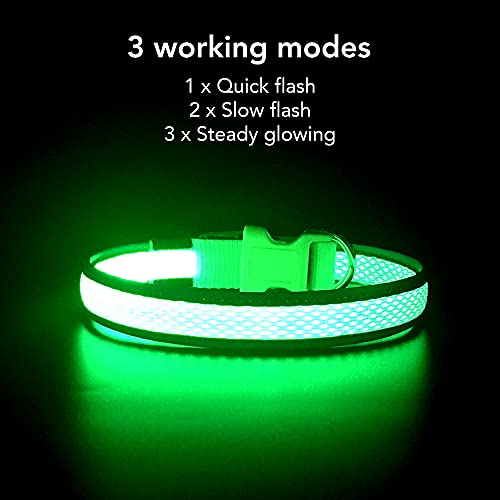 YFbrite Light up Dog Collar, USB Rechargeable LED Dog Collar, Super Bright Dog Lights for Night Walking, Adjustable Dog Collar Light for Dog Safety (Green, Large) - color: Green, size: Large