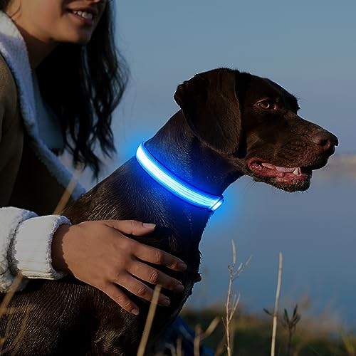 YFbrite Light up Dog Collar, USB Rechargeable LED Puppy Collar Super Bright Adjustable Glowing Dog Lights for Night Walking (Design-2- Blue, Large) - color: Version 2.0-- Blue, size: Large
