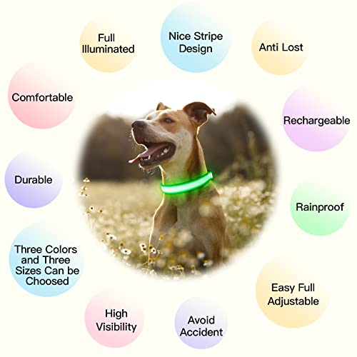 YFbrite Light up Dog Collar, USB Rechargeable LED Puppy Collar Super Bright Adjustable Glowing Dog Lights for Night Walking (Design 2-Green, Large) - color: Version 2.0-- Green, size: Large