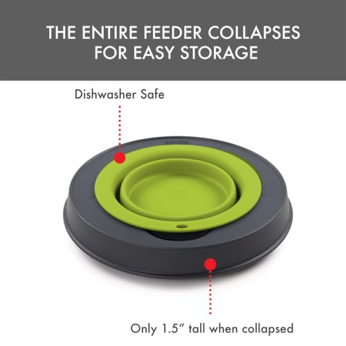 Dexas Pets Elevated Pet Feeder, Large, 4 Cup Capacity, Green, Raised Pet Food and Water Bowl - color: Green, size: Large/4 Cup Capacity