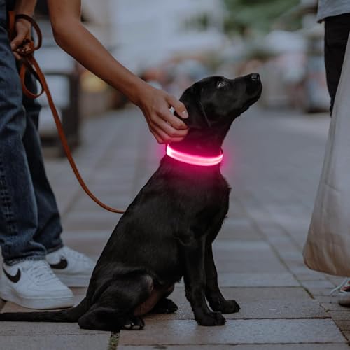 Illumifun Rechargeable LED Dog Collar, Waterproof Light Up Dog Collars Glow in the Dark, Adjustable Safety Collar Light for Dogs Walking Camping (Pink, Medium) - color: Pink, size: Medium