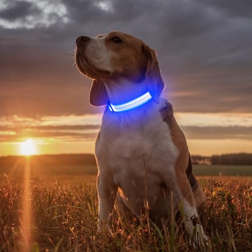 Illumifun Light Up Dog Collar, USB Rechargeable LED Dog Collar, Adjustable Reflective Lighted Pet Collar for Night Walking Camping (BlueⅢ, Large) - color: BlueⅢ, size: Large