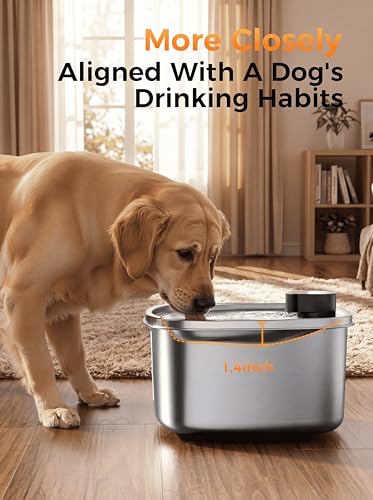 10L Cat Dog Water Fountain, Stainless Wireless Pet Water Bowl | 10L wireless dog water bowl for large dogs&cats, sensor flow, quiet , 4000mAh battery, 15-25 day runtime and 1 filter set