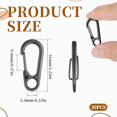 30 PCS Mini Carabiner Clip, Metal Spring Snap Hook Keychains Small Carabiner Clip for Keys, Micro Carabiners with a Transparent Storage Box Key Carabiners Clips Sport Accessories for Outdoor Camping