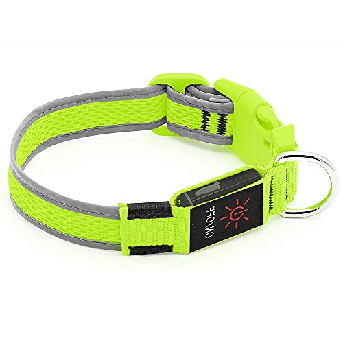 YFbrite Light up Dog Collar, USB Rechargeable LED Puppy Collar Super Bright Adjustable Glowing Dog Lights for Night Walking (Green, Medium) - color: Green, size: Medium