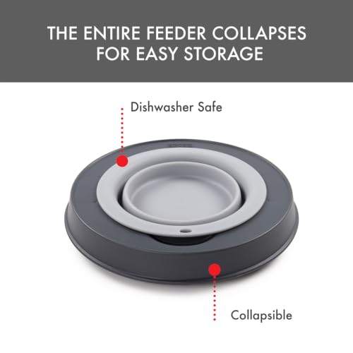 Dexas Pets Elevated Pet Feeder, Small, 1.5 Cup Capacity, Light Gray, Raised Pet Food and Water Bowl - color: Light Gray, size: Small/1.5 Cup Capacity