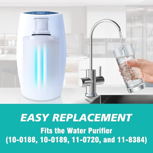 100186 Replacement Filter Cartridge Compatible with Amway espring Water Filter System, 3-in-1 High-Precision Filtration with Pre-Filter, Retains beneficial minerals - style: Water Filter With screen