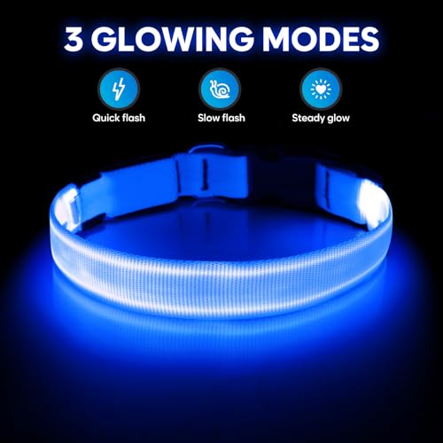 Illumifun LED Dog Collar, USB Rechargeable Light Up Collar Glow in the Dark, Adjustable Safety Pet Light for Your Pups Walking at Night (Blue, Small) - color: Blue, size: Small