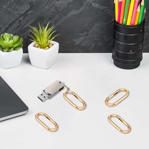 2 Pcs Gold Carabiner Key Clips,Heavy Duty Spring O Ring Keyring Clips for Purse Strap,Keychains & Backpacks,Buckle Clasp,Backpacks,Purse,Keys,Bag Strap Rustproof Key Hook Accessories (Gold)