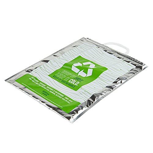 Restaurantware Green And Silver Plastic Thermal Bag, 10 Pack - size: 11.75"