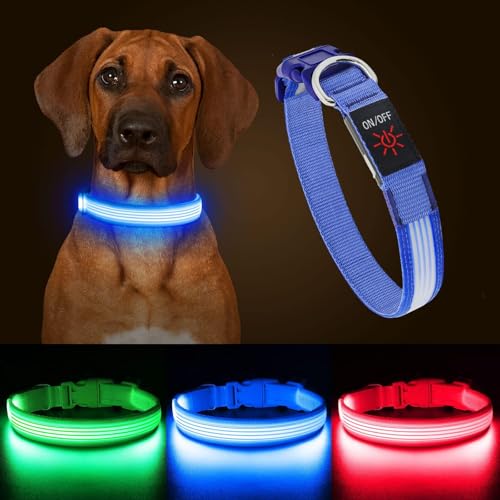 YFbrite Light up Dog Collar, USB Rechargeable LED Puppy Collar Super Bright Adjustable Glowing Dog Lights for Night Walking (Design-2- Blue, Small) - color: Version 2.0-- Blue, size: Small