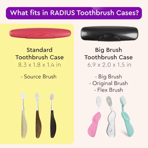 RADIUS Toothbrush Travel Case for Standard Brush, BPA-Free Recycled Plastic, Portable for Bathroom, School, Home, Camping - Translucent (FITS ALL CONVENTIONAL TOOTHBRUSH SOURCE TOOTHBRUSH) - color: Translucent