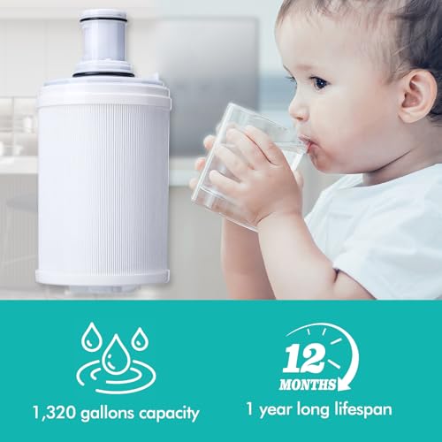 100186 Replacement Filter Cartridge Compatible with Amway espring Water Filter System, 3-in-1 High-Precision Filtration with Pre-Filter, Retains beneficial minerals - style: Water Filter With screen
