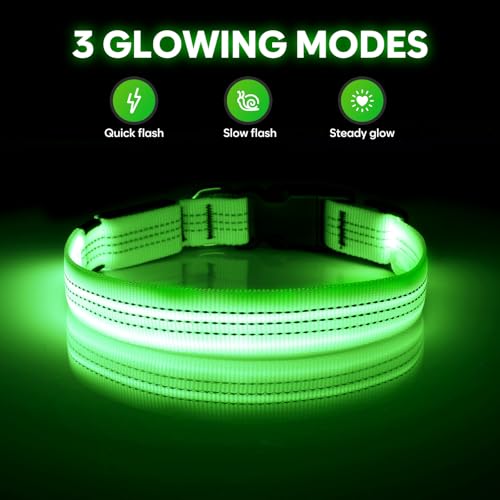 Illumifun LED Dog Collar, Rechargeable Light Up Collars, Reflective Safety Collar Light for Nighttime Walking Camping (GreenⅢ, Medium) - color: GreenⅢ, size: Medium