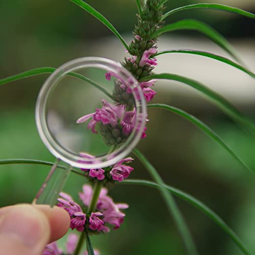OBTANIM 40 Pack Mini Handheld Magnifying Glasses Plastic Portable Hand Lens 5X Reading Magnifier for Senior and Kids Home Outdoor Use