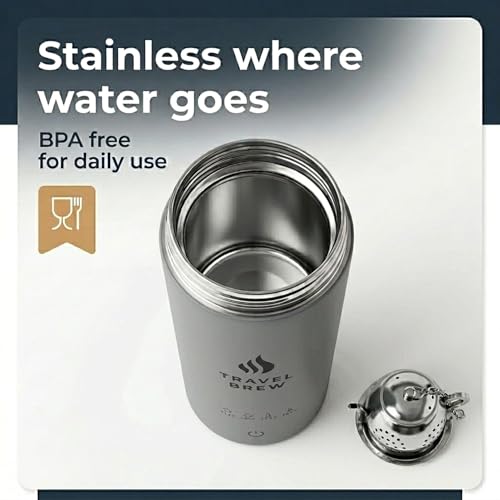 Portable Travel Kettle with Tea Infuser- Mini Electric Kettle with 4 Temperature Settings, with Auto Shut-Off & Boil Dry Protection (Gray) - color: Gray