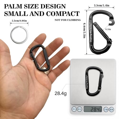 Carabiner Clip - Heavy Duty Carabiners 800lbs-13KN (2922 lbs) Carabeaner D Ring Shape,Key Chain Clip Hook,Keychain Clip,Multipurpose for Camping, Hiking,Backpacking or Other Outdoor Activities. - style: 12PCS 2.5 Inch(800 lbs)