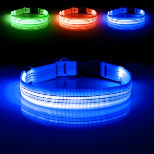 Illumifun LED Dog Collar - USB Rechargeable Dog Light Up Collar, Reflective Pet Collar Light Glow in the Dark (BlueⅢ, Medium) - color: BlueⅢ, size: Medium