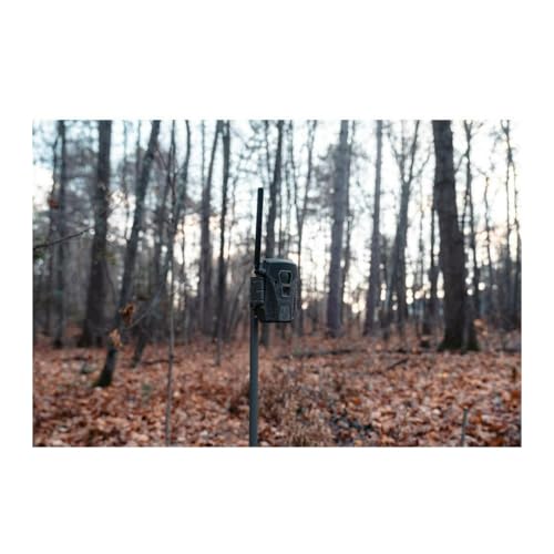 Wildgame Innovations Terra XT 2.0 / Cellular Camera / 24MP | 12V DC auxiliary jack