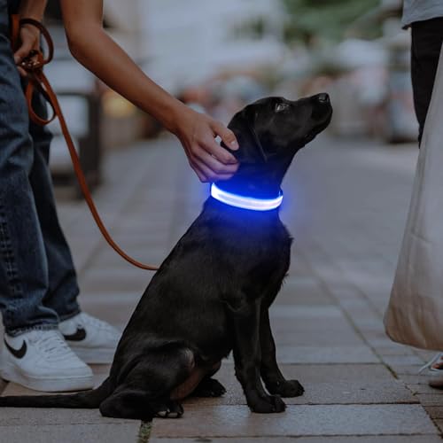 Illumifun LED Dog Collar, USB Rechargeable Light Up Collar Glow in the Dark, Adjustable Safety Pet Light for Your Pups Walking at Night (Blue, Small) - color: Blue, size: Small