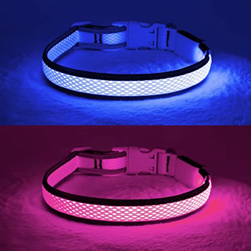 YFbrite Light up Dog Collar, USB Rechargeable LED Puppy Collar Super Bright Adjustable Glowing Dog Lights for Night Walking (Blue, Large) - color: Blue, size: Large