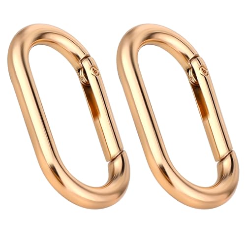 2 Pcs Gold Carabiner Key Clips,Heavy Duty Spring O Ring Keyring Clips for Purse Strap,Keychains & Backpacks,Buckle Clasp,Backpacks,Purse,Keys,Bag Strap Rustproof Key Hook Accessories (Gold)