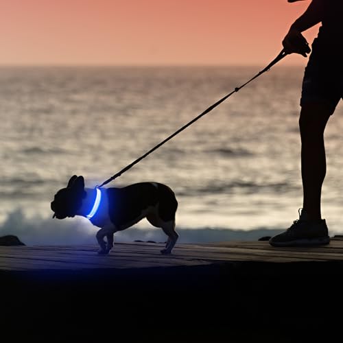 Illumifun LED Dog Collar - USB Rechargeable Dog Light Up Collar, Reflective Pet Collar Light Glow in the Dark (BlueⅢ, Medium) - color: BlueⅢ, size: Medium