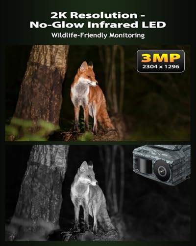 Xega 4G Cellular Trail Camera with Night Vision Motion Activated Waterproof | 2K Game Camera with Live View, Dual Solar Panel 9600mAh Battery, No Glow Wildlife Camera No WiFi, GPS, Built-in SIM Card